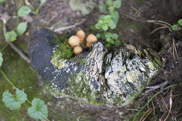 Similar image 5560671