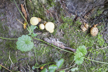 Similar image 5560673