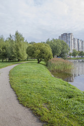 Similar image 5560674