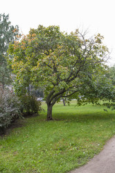 Similar image 5560675