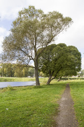 Similar image 5560676