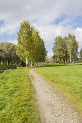 Similar image 5560678