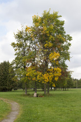 Similar image 5560677