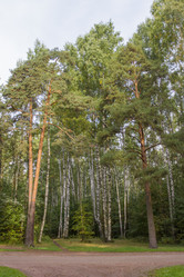 Similar image 5560684