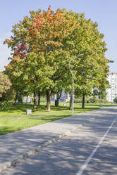 Similar image 5560692