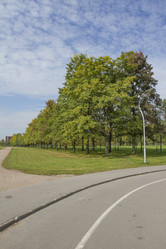 Similar image 5560697