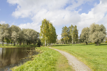 Similar image 5560703