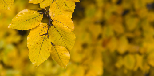 Similar image 5560724