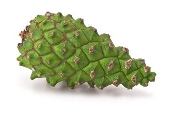 Similar image 5560731