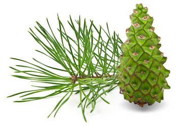 Similar image 5560732