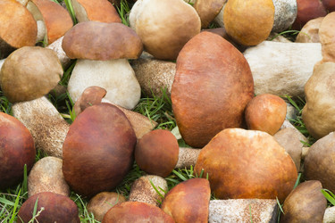 Similar image 5560751