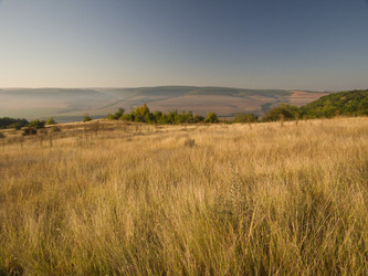 Similar image 5560772