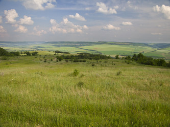 Similar image 5560776