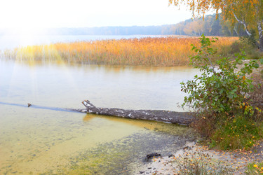 Similar image 5560832