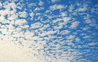 Similar image 5560851