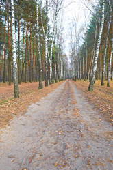 Similar image 5560855