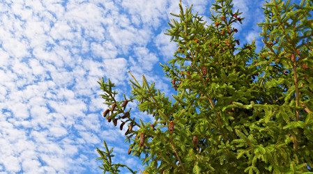 Similar image 5560856