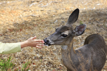 Similar image 5560861