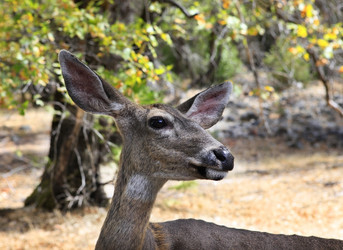 Similar image 5560862