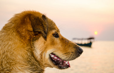 Similar image 5560868