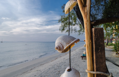 Similar image 5560869