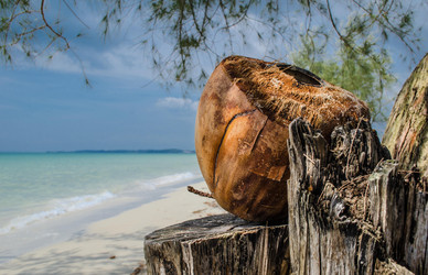 Similar image 5560873