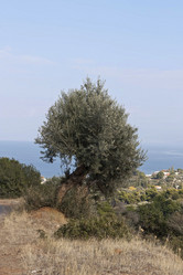 Similar image 5560877