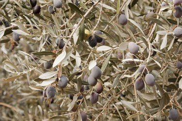 Similar image 5560883