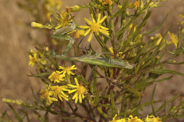 Similar image 5560884