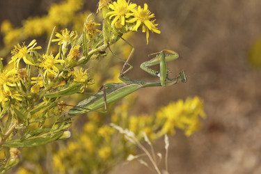 Similar image 5560885