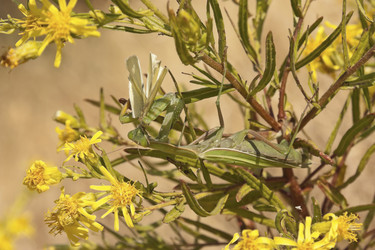 Similar image 5560886