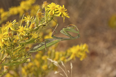 Similar image 5560887