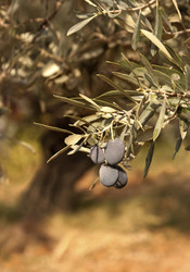 Similar image 5560888