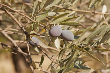 Similar image 5560889