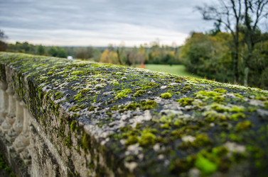 Similar image 5560891