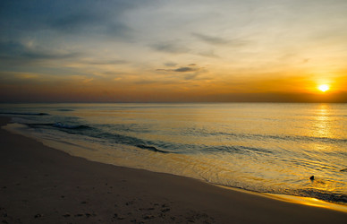 Similar image 5560896