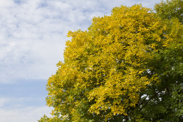 Similar image 5560938