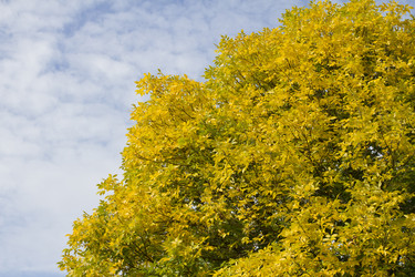 Similar image 5560939