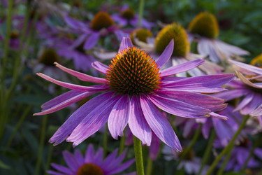 Similar image 5560948