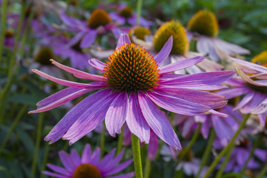 Similar image 5560950