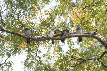 Similar image 5560952