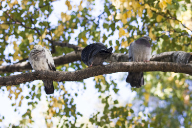 Similar image 5560954