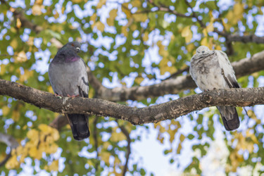 Similar image 5560956