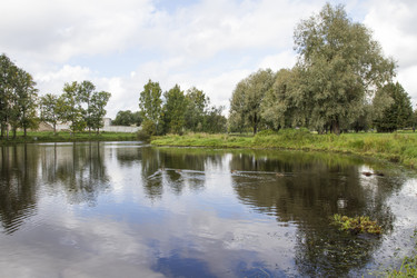 Similar image 5560957