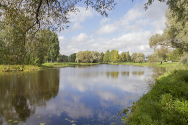 Similar image 5560960