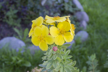 Similar image 5560959