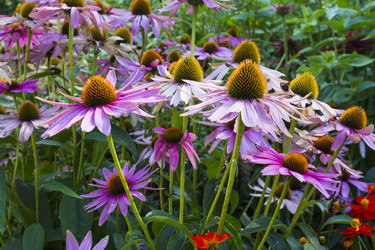 Similar image 5560963