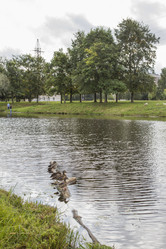 Similar image 5560967