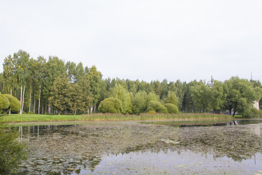 Similar image 5560968