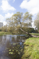 Similar image 5560973